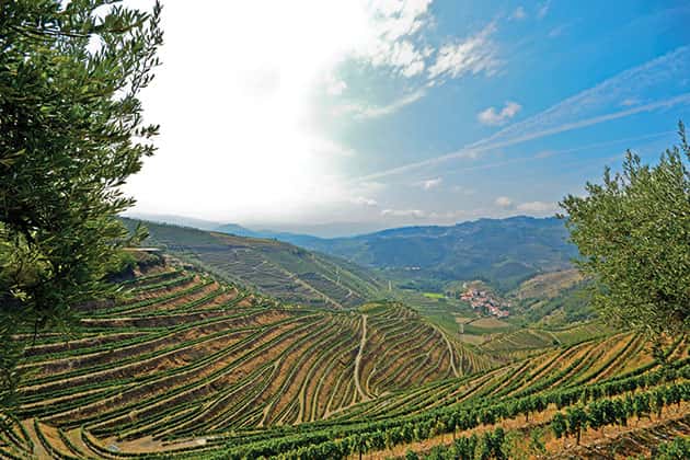 Parc naturel du Douro International