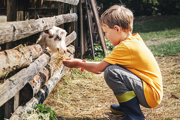 ferme